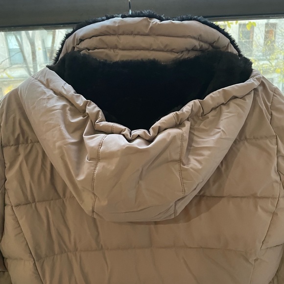 Andrew Mark Stretch Winter Puffer Coat - Picture 5 of 5